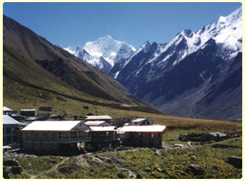 kangyang gompa, langtang valley trek